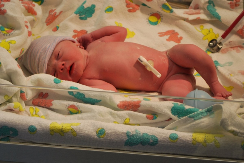Annie's first picture - only minutes old.