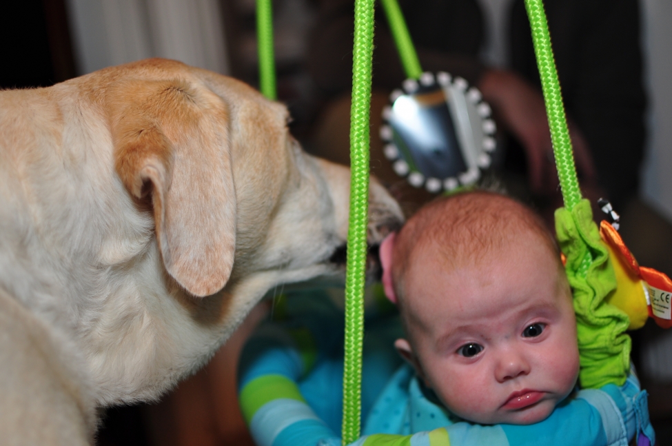 Head licks happen.